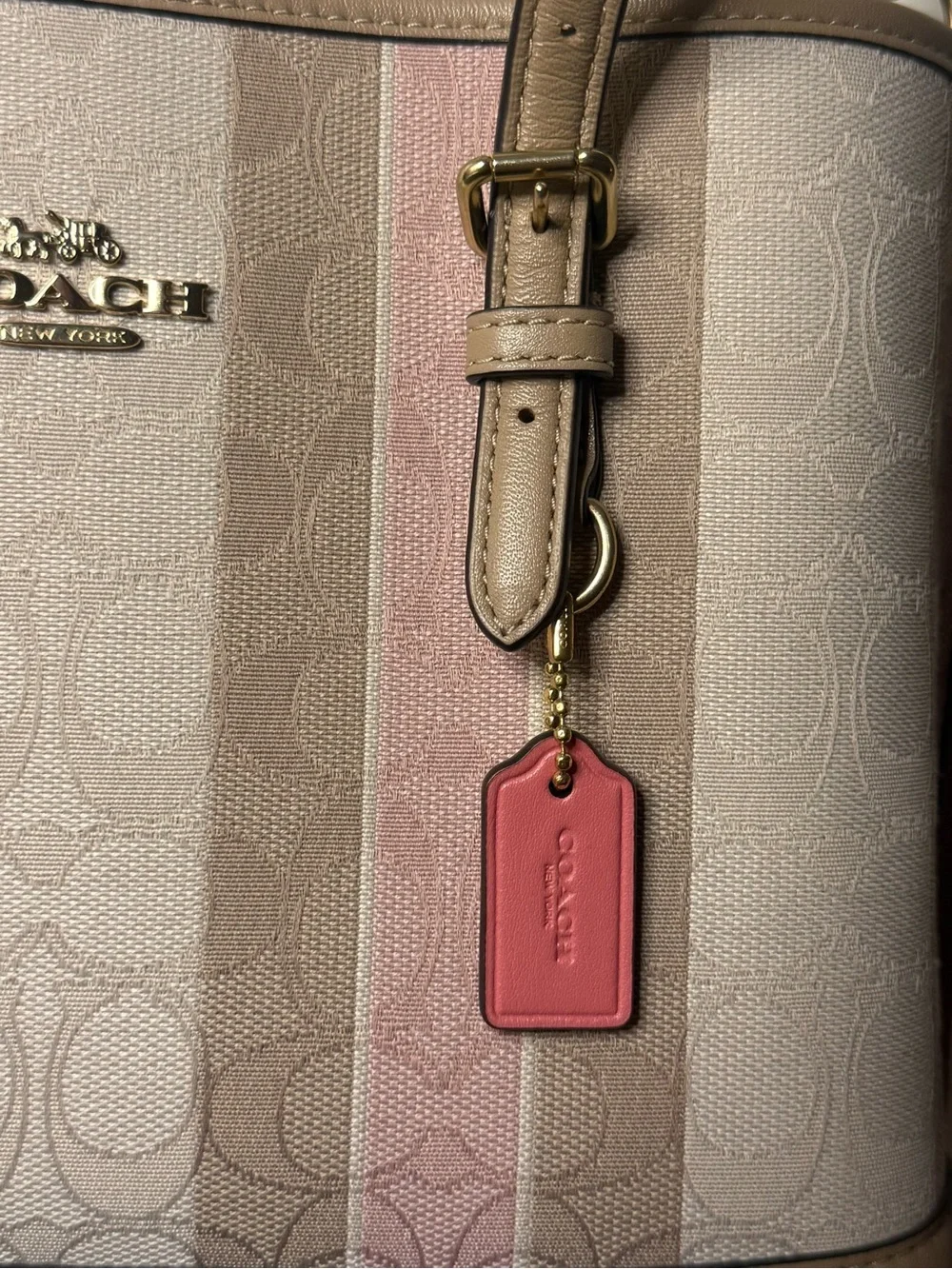 Coach Pink Stripe Signature Tote Bag Pink and Tan 💗🍦